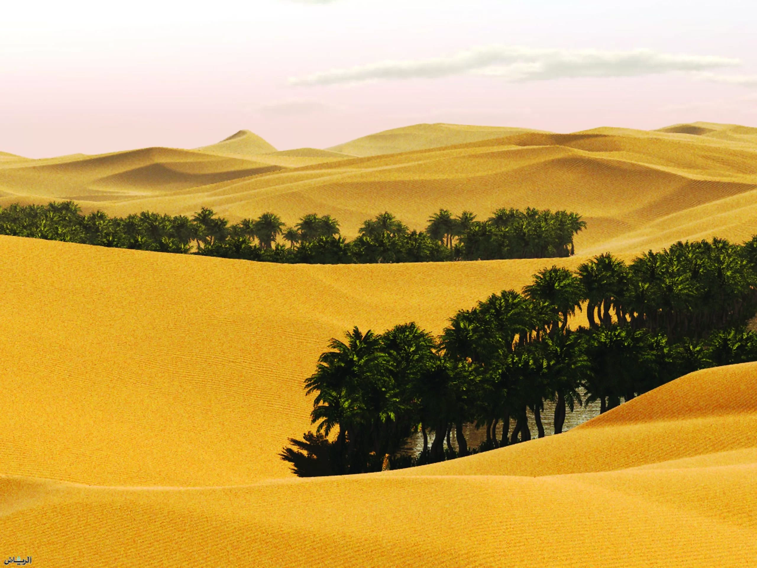 قبيلة اليوبي وش يرجعون هل يرجعون الى قبيلة حرب؟ قبيلة اليوبي وش يرجعون هل يرجعون الى قبيلة حرب؟