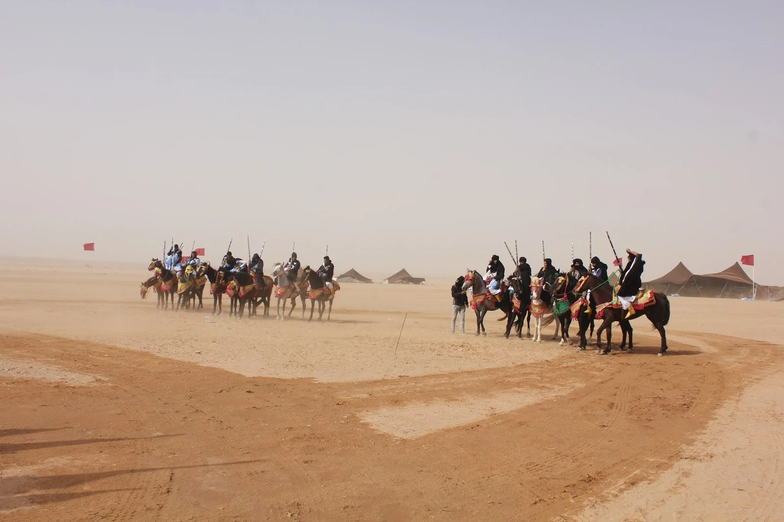 قبيلة طي وش ترجع