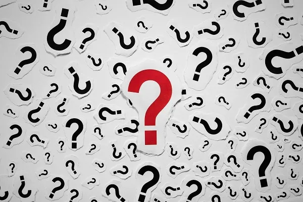 كم عدد فخوذ الاسلم