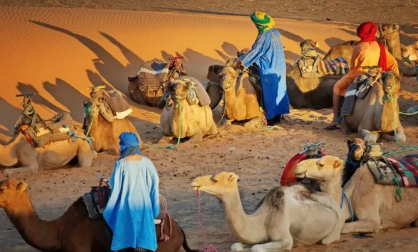 كم عدد قبيلة بني كعب