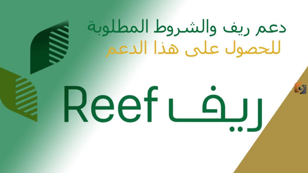 كيف اقدم على دعم ريف لربات البيوت وشروط التسجيل في البوابة الرسمية