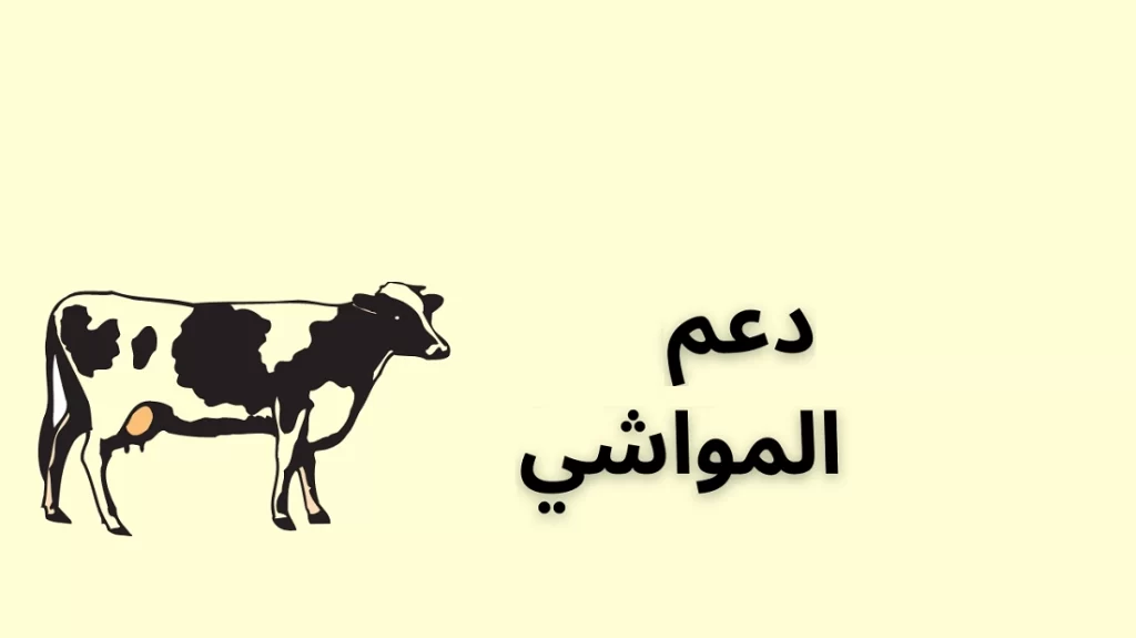 كيفية الاستعلام عن دعم مواشي ومتي ينزل الدعم وما شروط الاستحقاق