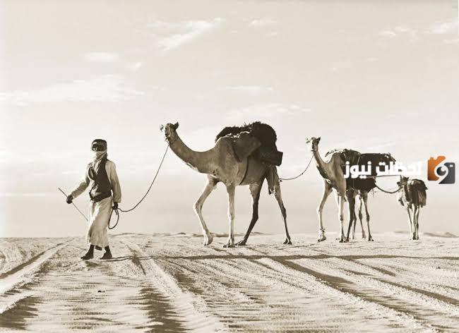 لماذا القبائل لا تزوج الشرارات ؟ لماذا القبائل لا تزوج الشرارات ؟