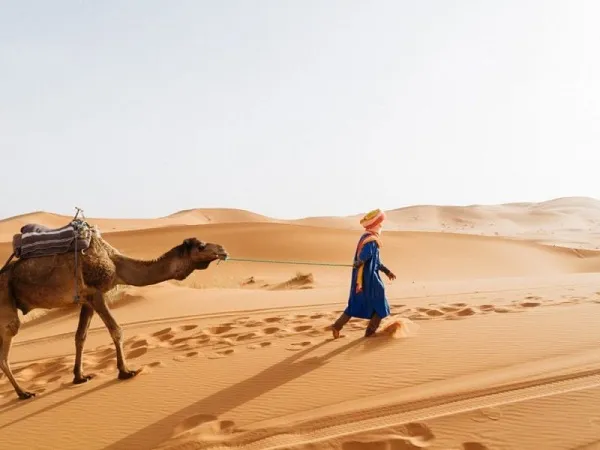 ما أصول عائلة ماجكي بالكويت ومن هم عائلة ماجكي