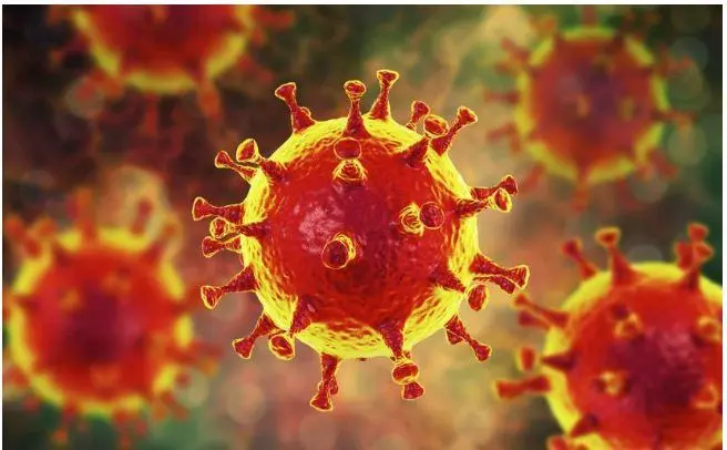 ما الذي يصف معظم أنواع الفيروسات