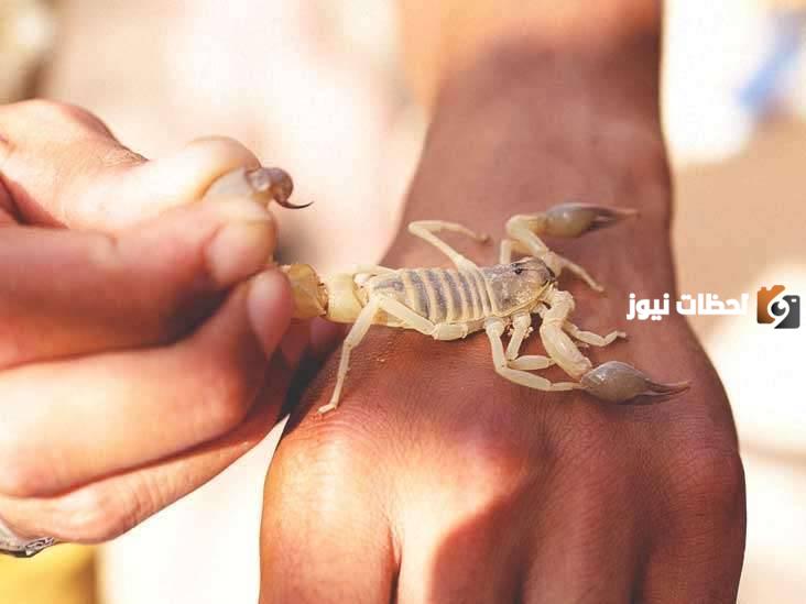 ما تفسير لدغة العقرب في اليد في المنام للأعزب؟