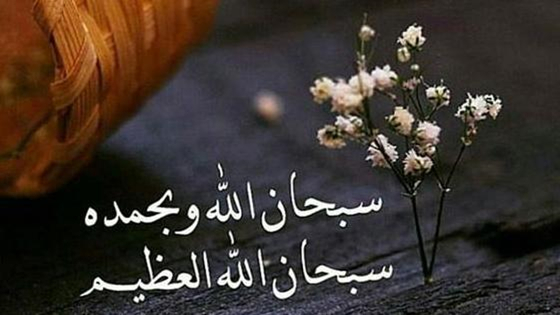 ما معنى سبحان الله وبحمده
