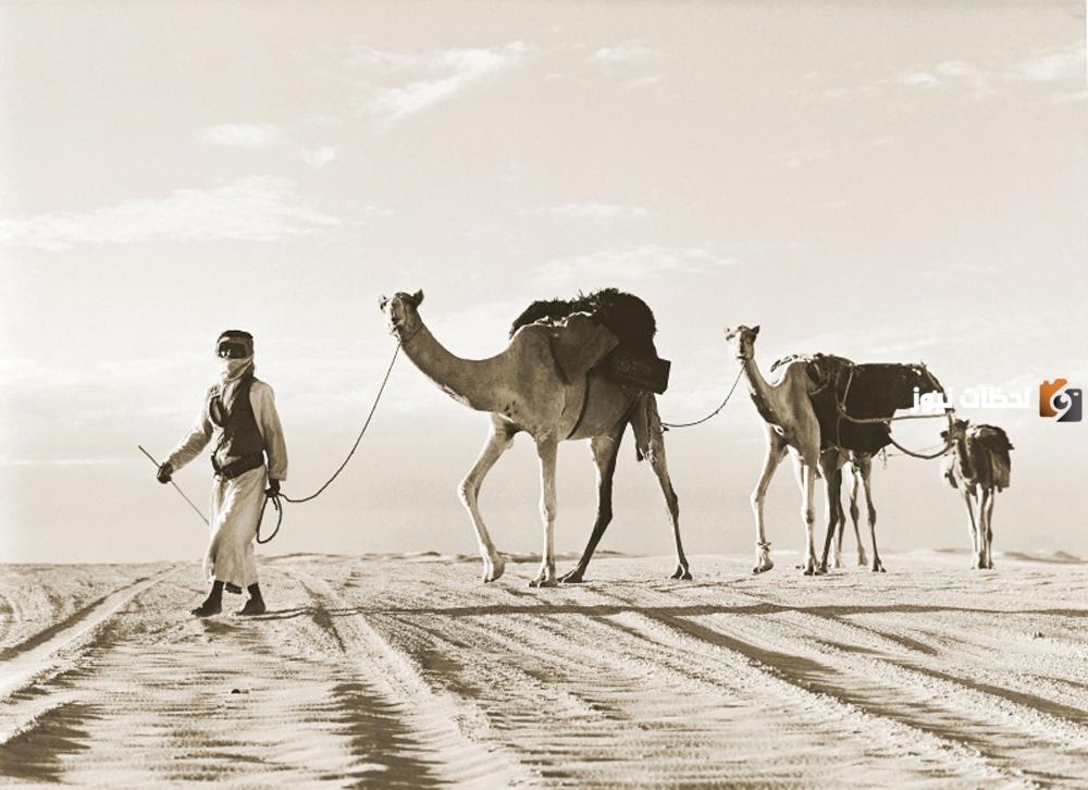 ما هو أكثر عدد قبيلة في الإمارات؟