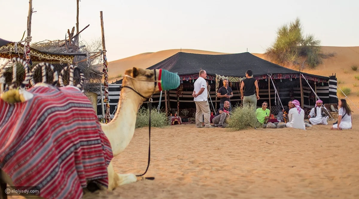 ما هو أكثر عدد قبيلة في مصر