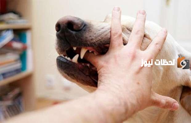 ما هو مصل الكلب واين يوجد
