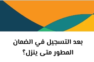 متى ينزل الضمان المطور بعد التسجيل