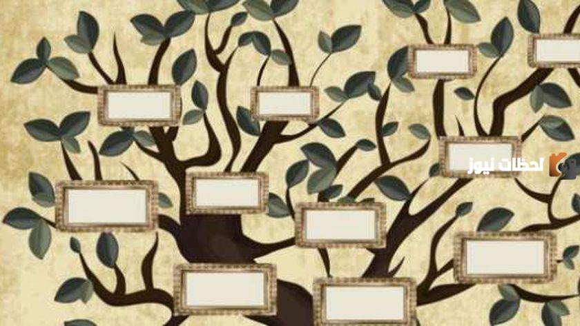 معرفة شجرة العائلة في الجزائر