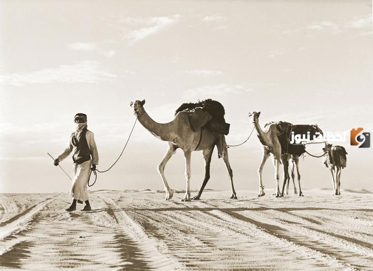 من أين قبيلة القواسم وما هو موطنهم الرئيسي هل هم أشراف