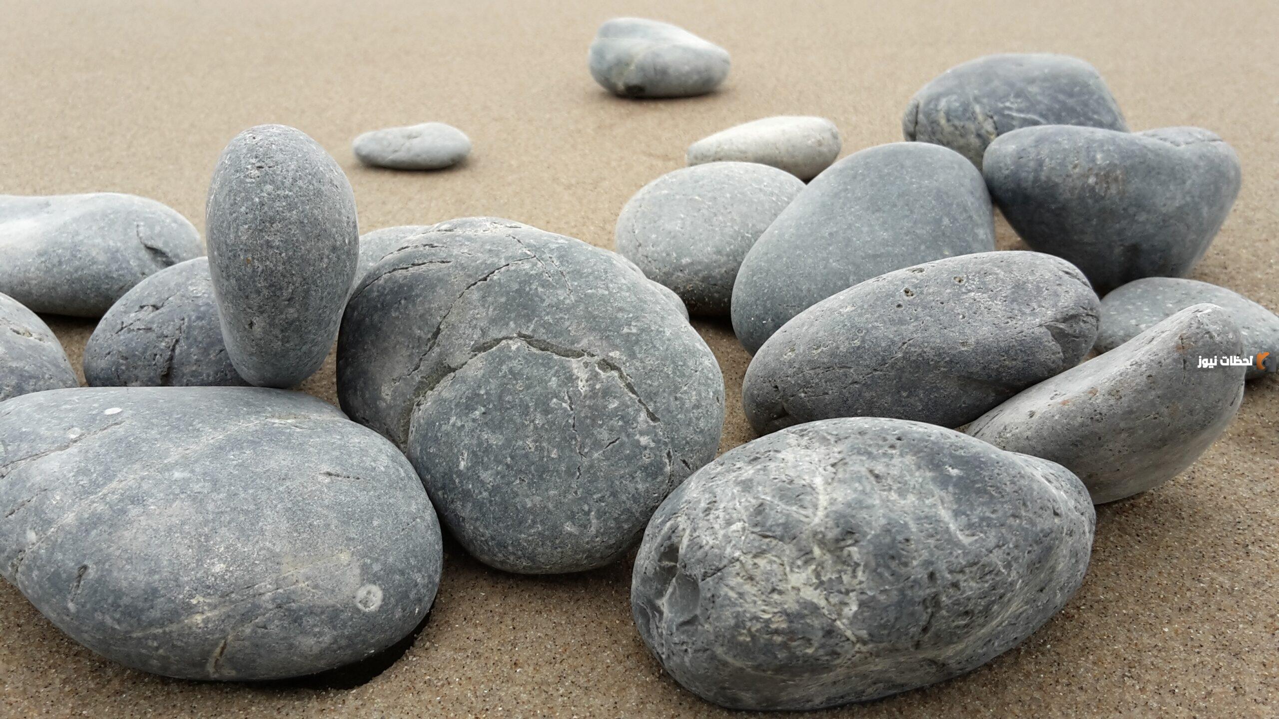 من الاشياء التي لا يجوز الاستجمار بها