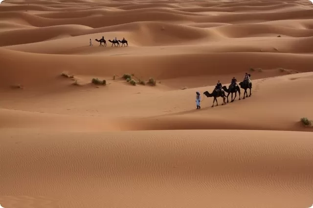 نسب قبيلة العروي وش يرجع وما هو أًصلهم