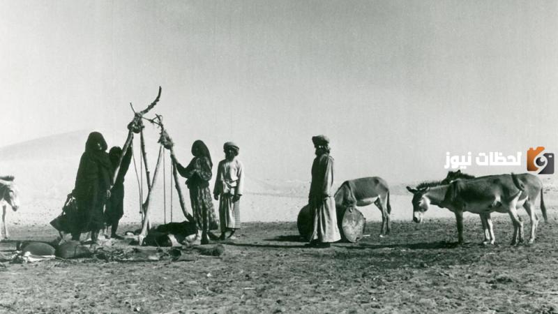 نسب قبيلة شمر الحقيقي