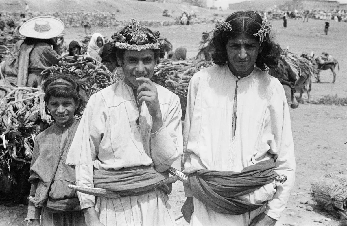 نسب قبيلة عسير وفخوذها