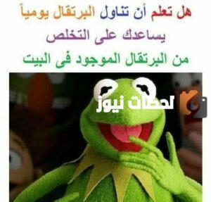 نكت الضفدع الأخضر