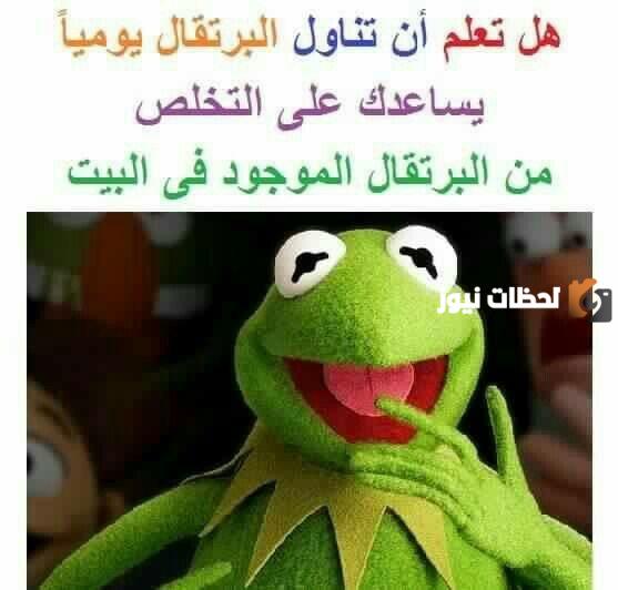 نكت الضفدع الأخضر