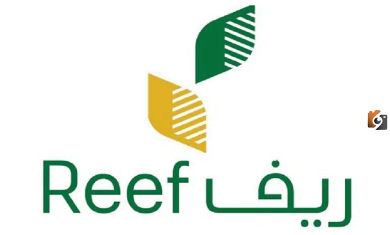 هل الدعم الريفي يشمل ربات البيوت