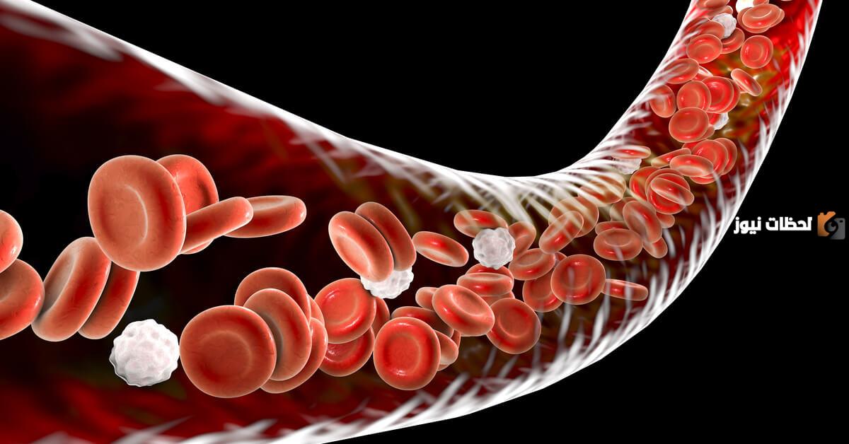 هل تعلم أن الدم يتكون من خلايا الدم الحمراء والبيضاء والصفائح الدموية؟