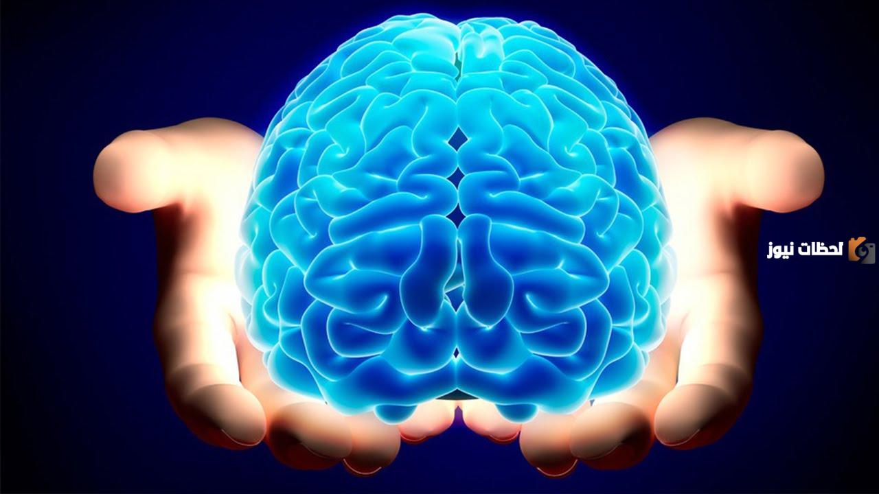 هل تعلم أن المخ البشري يتكون من حوالي 100 مليار خلية عصبية؟