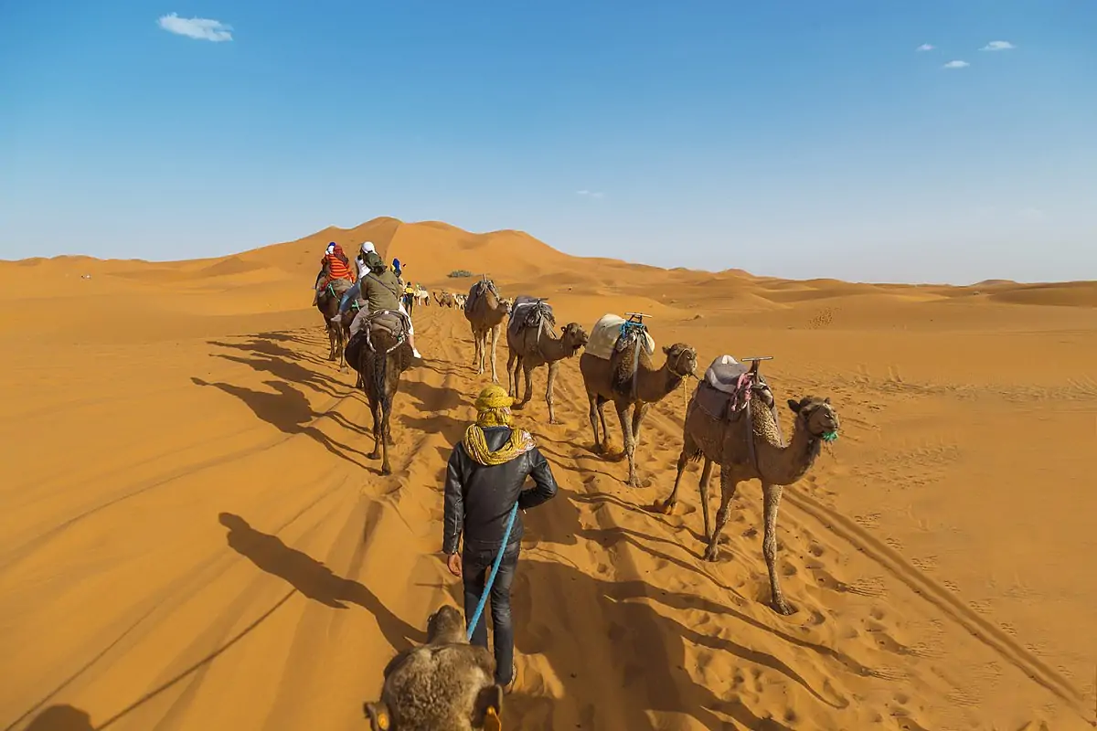 هل عائلة الحسيني شيعة