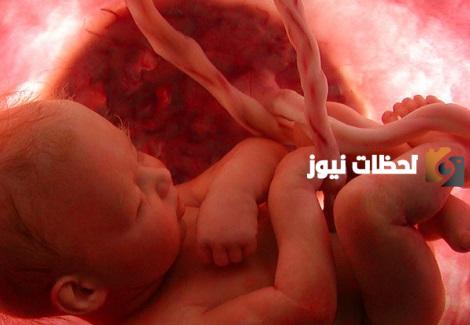 هل يحسب الجنين في زكاة الفطر