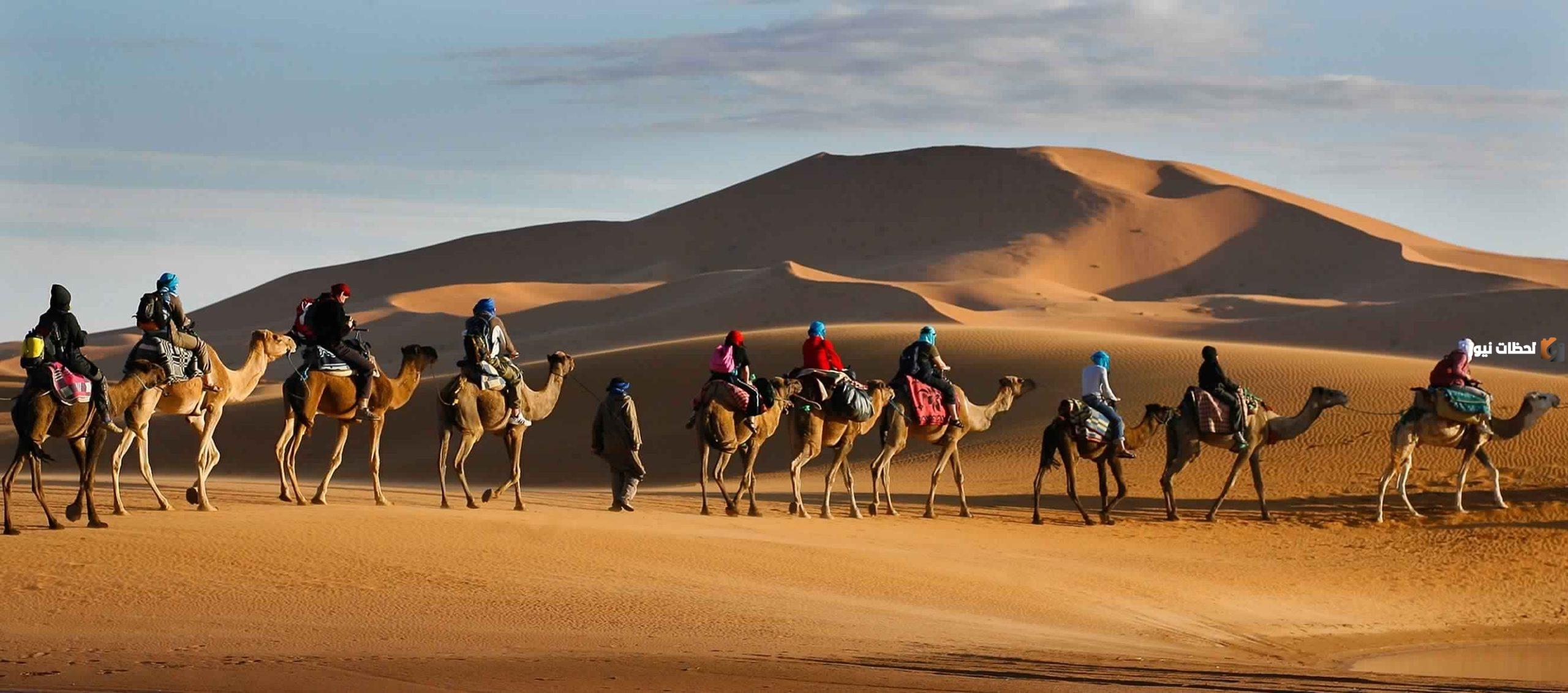 وش يرجع أصل قبيلة بني زيد