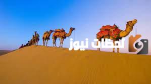 عائلة البعيجان وش يرجعون