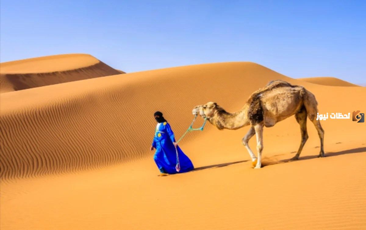 عائلة اللاحم في القصيم وش ترجع