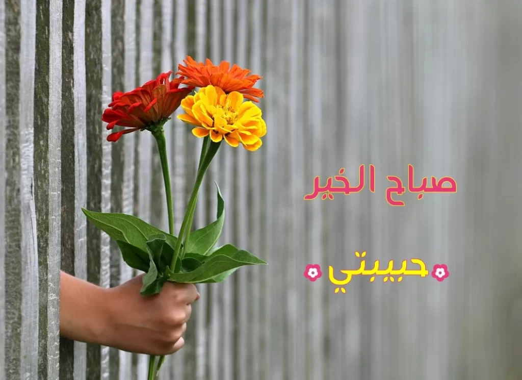 10 رسالة صباح الخيرات والمسرات والبركات