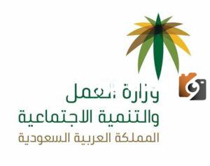 من هم مستحقي الضمان الاجتماعي الجديد