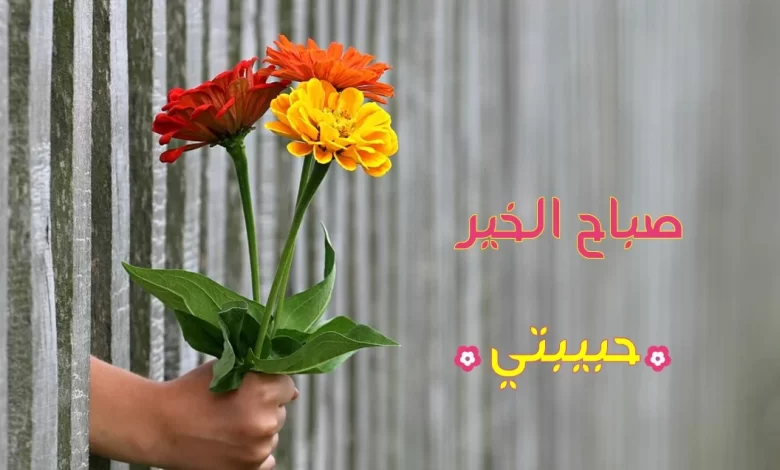 أجمل وأجدد عبارات صباح الخيرات والمسرات والسعادة