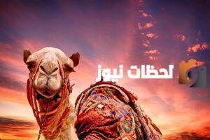 أصل قبيلة العتيق من وين