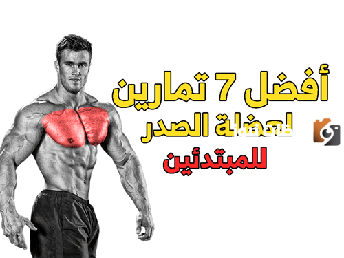 أفضل تمارين الصدر في الجيم