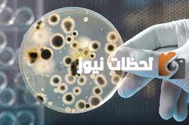 أكمل | مجموعة الخلايا المتشابهة تشكل ......
