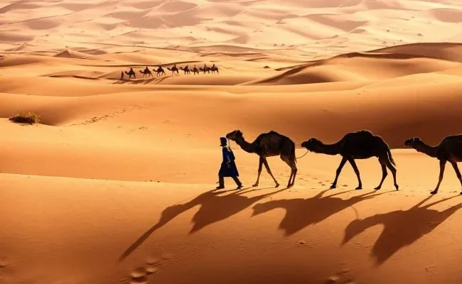 ابن لبدان وش يرجع