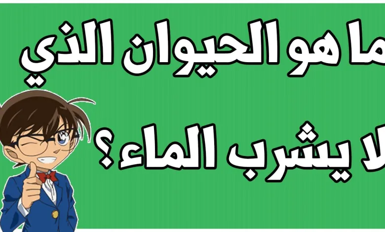 اسئلة سهلة وصعبة للاطفال في الروضة واجوبتها