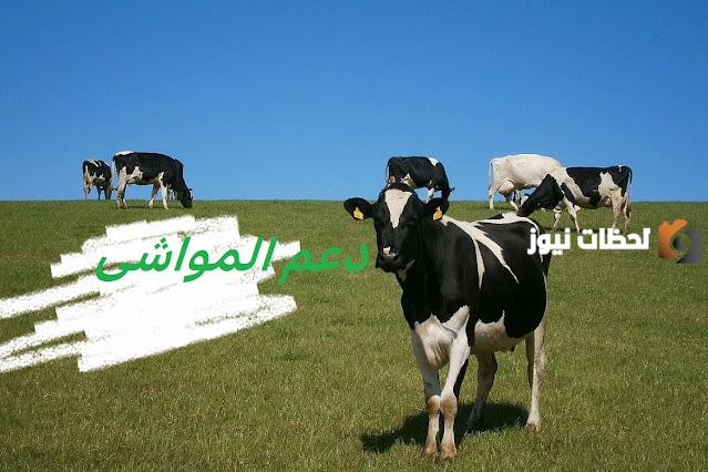 استعلام عن دعم المواشي