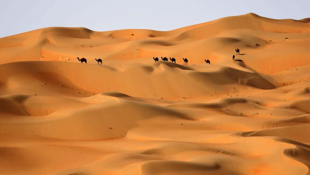 ال حركان وش يرجعون حركان وش أصلهم