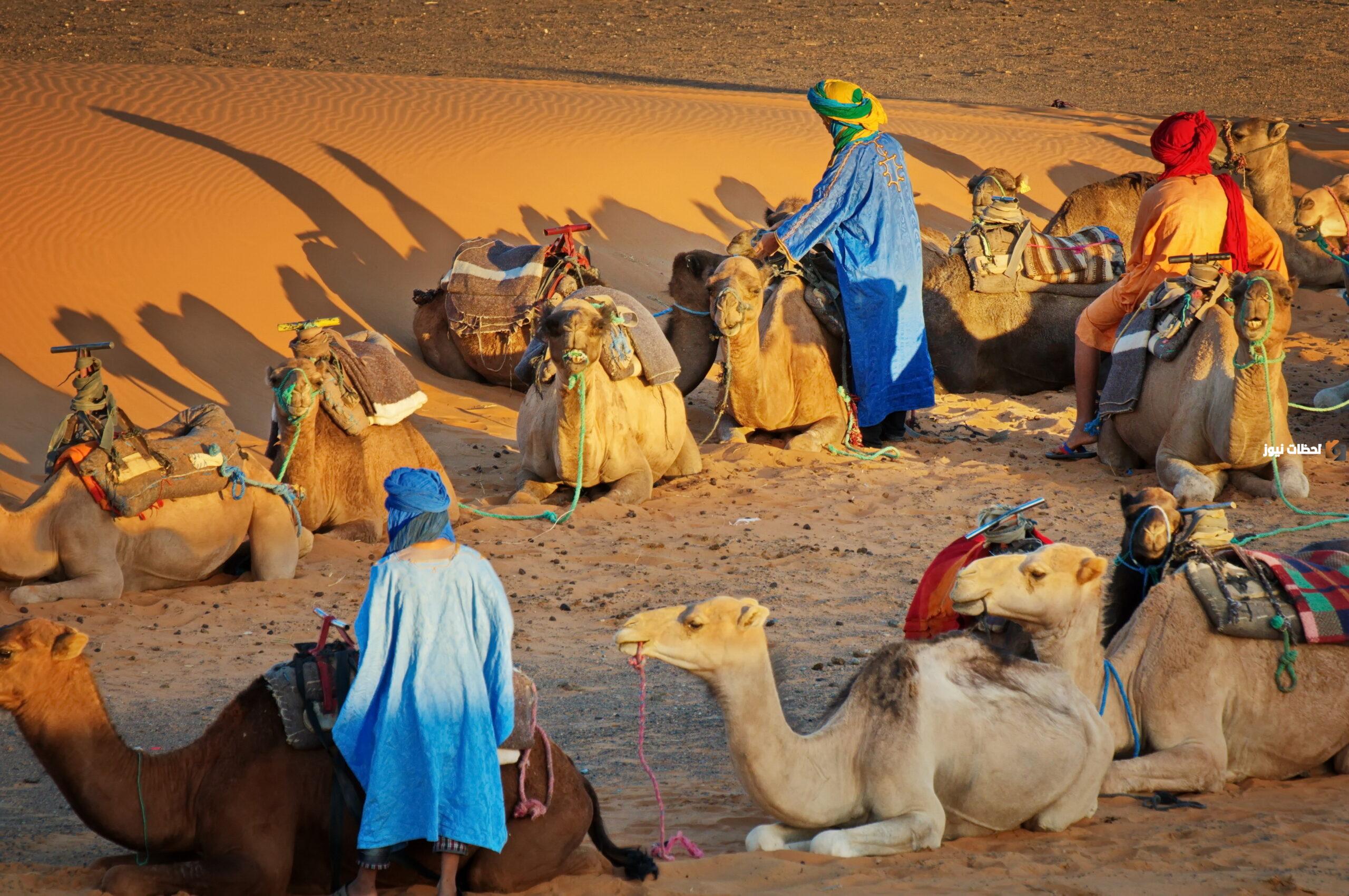 الأزيمع وش يرجعون وما فخوذ الأزيمع