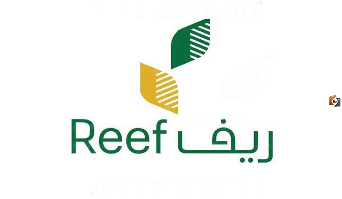 الاستعلام عن المستفيدين من دعم ريف وسبب الرفض