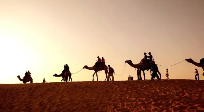 الباحوث وش يرجعون أصل الباحوث من وين