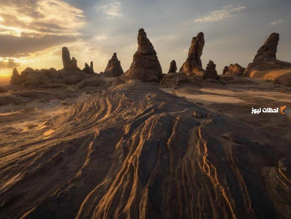 البدء في إنشاء محمية الإمام فيصل بن تركي الملكية بأمر من خادم الحرمين الشريفين