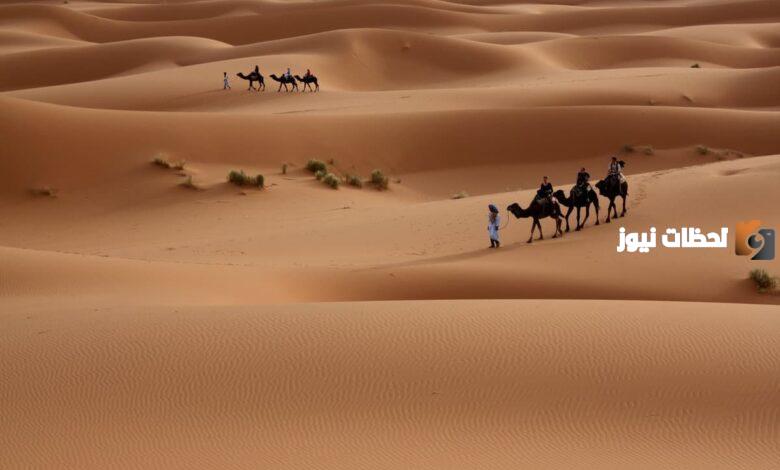 البسام وش يرجعون