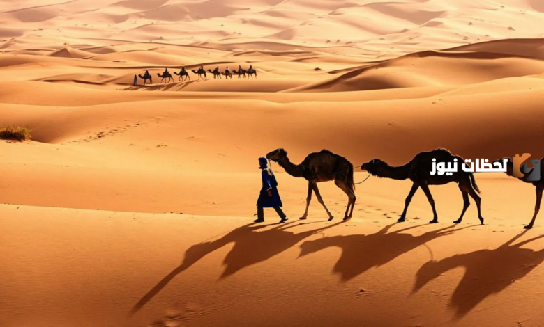 الثبيتي من أي قبيلة