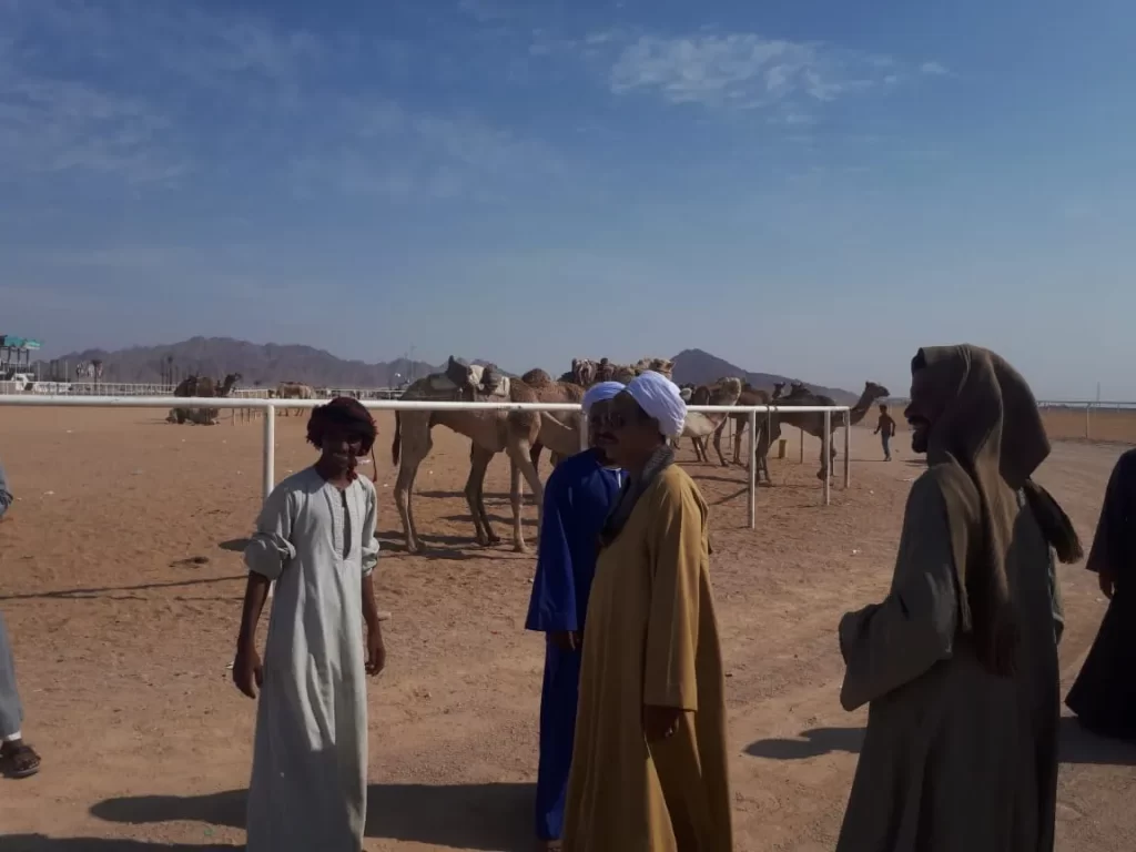 الجلعود من وين الجلعود وش ترجع