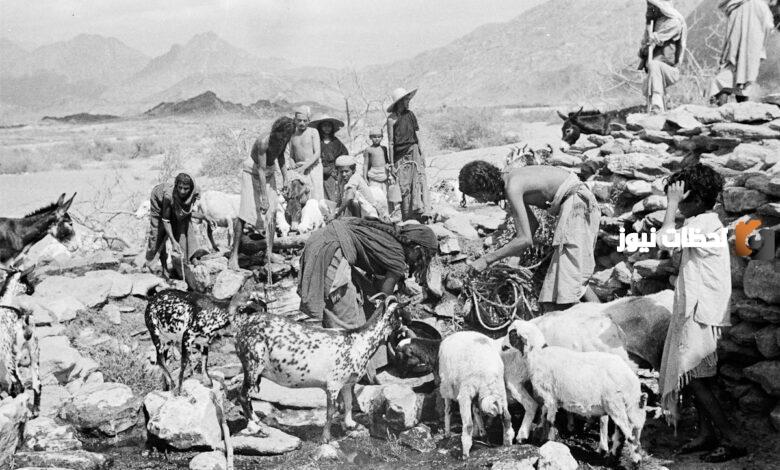 .الجميلي وش يرجع وأصله ونسبه.