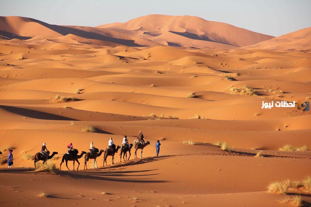 الحسيني وش يرجعون أصل عائلة الحسيني